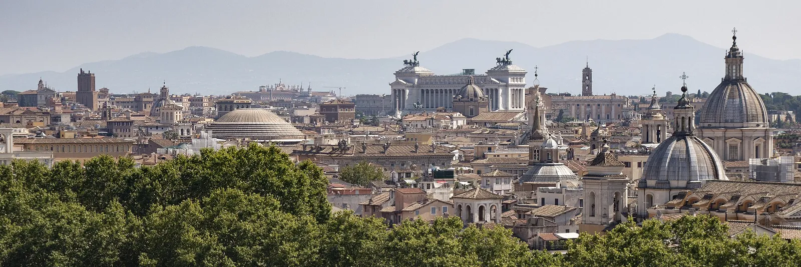 Bandara Roma Fiumicino ke Roma dengan bus pribadi