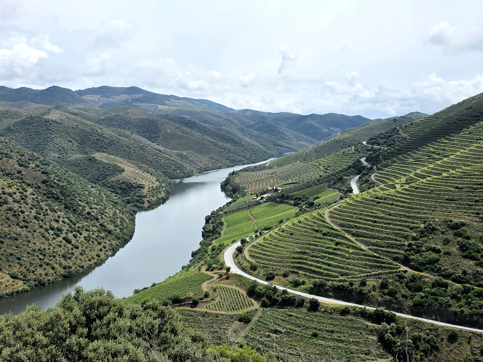 Da Porto a Valle del Douro in pullman privato