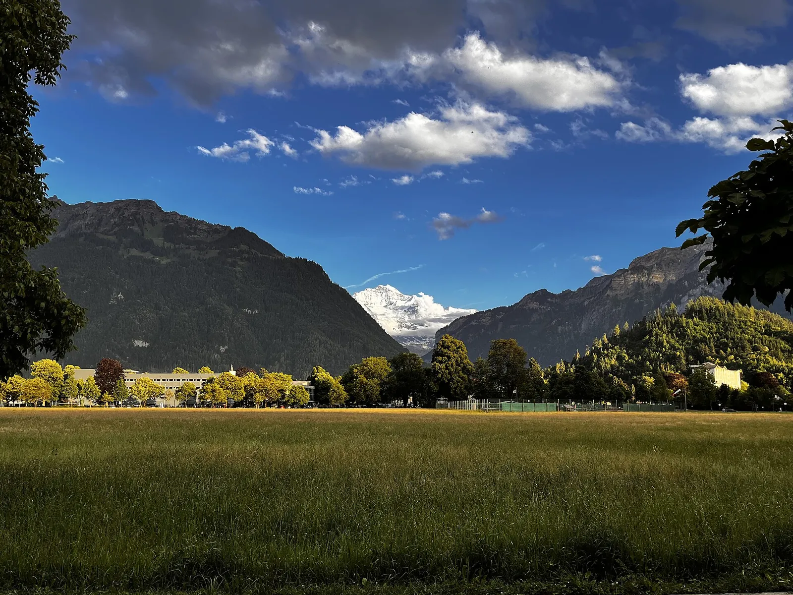Von Luzern nach Interlaken im privaten Reisebus