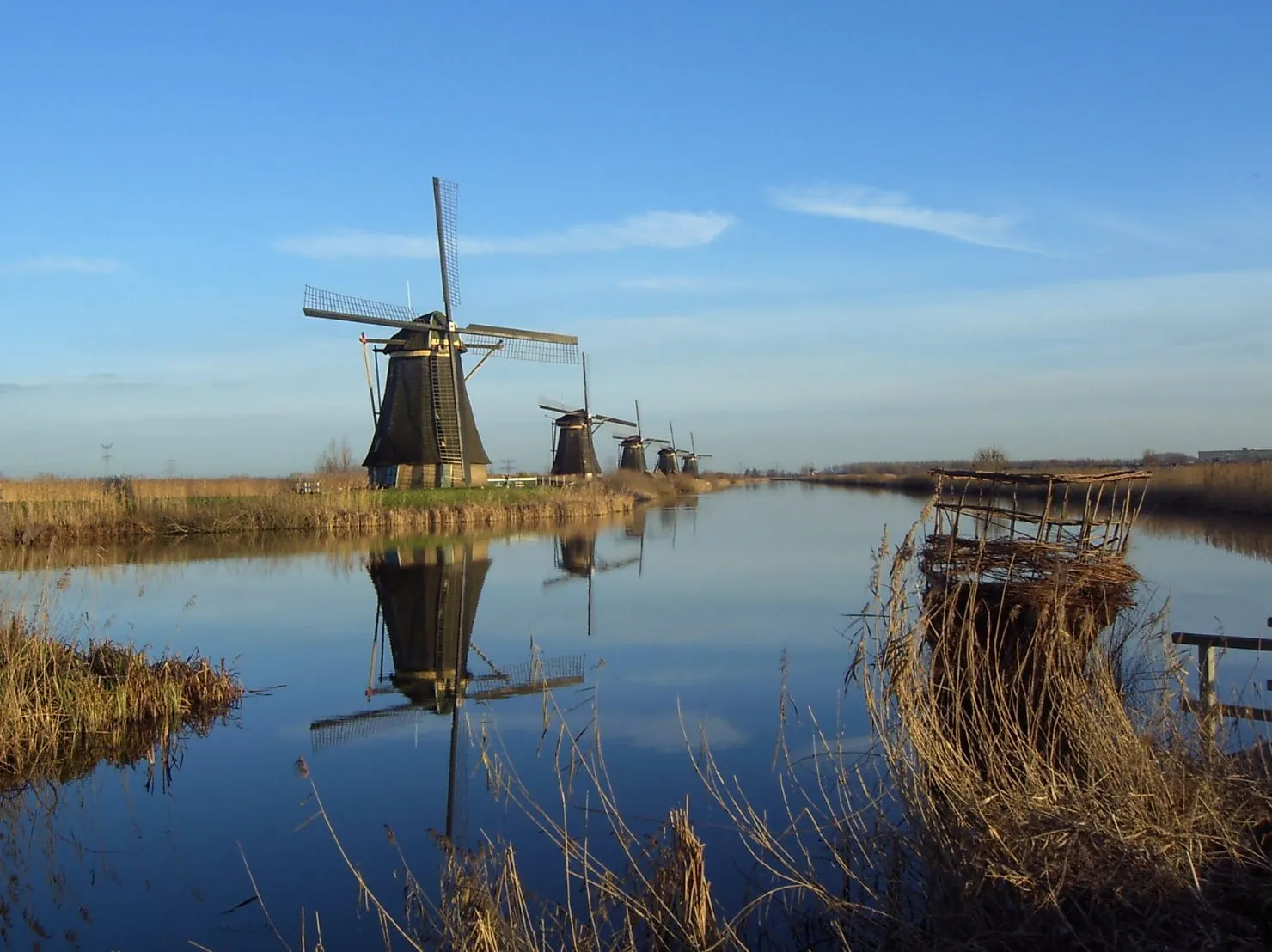 De Róterdam a Kinderdijk en autocar privado