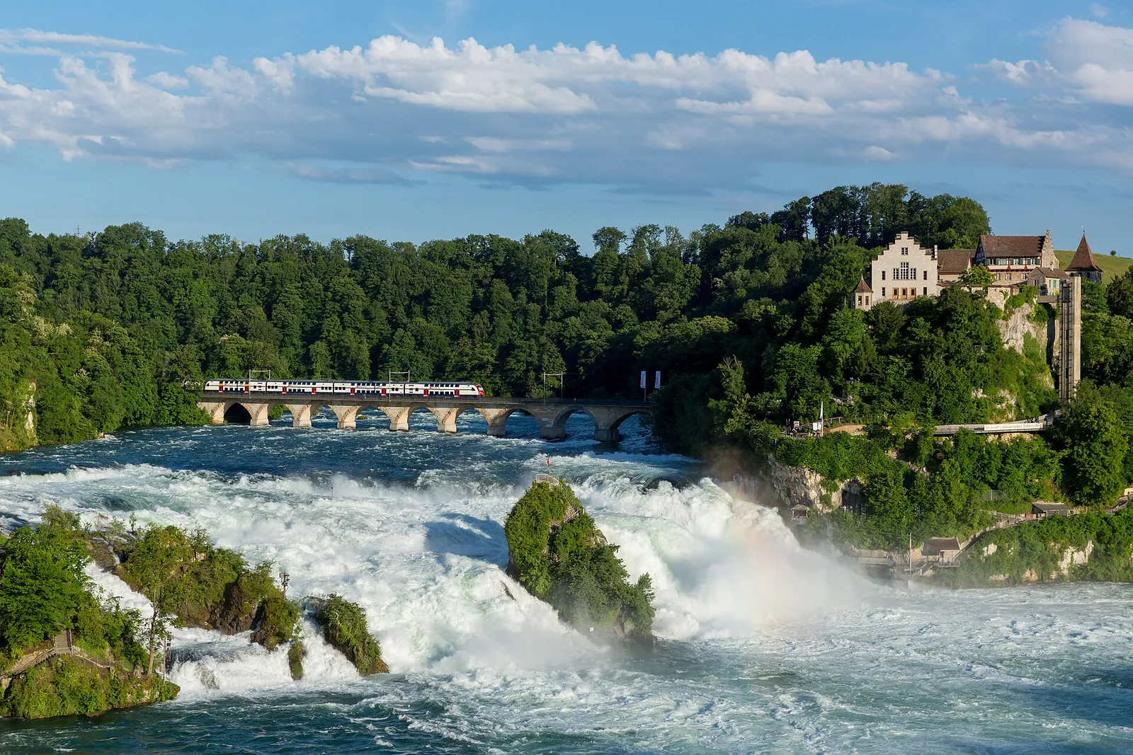 Da Zurigo a Cascate del Reno in pullman privato