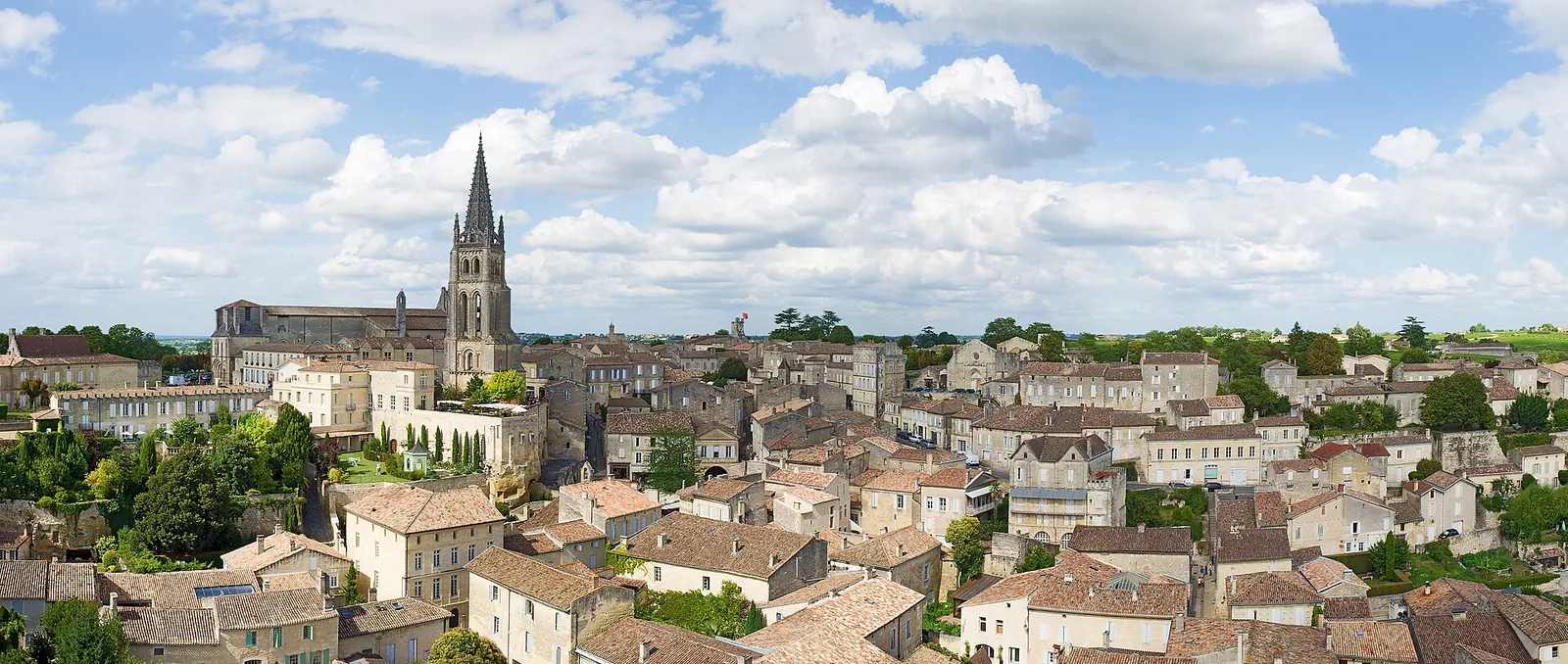 Da Bordeaux a Saint-Émilion in pullman privato