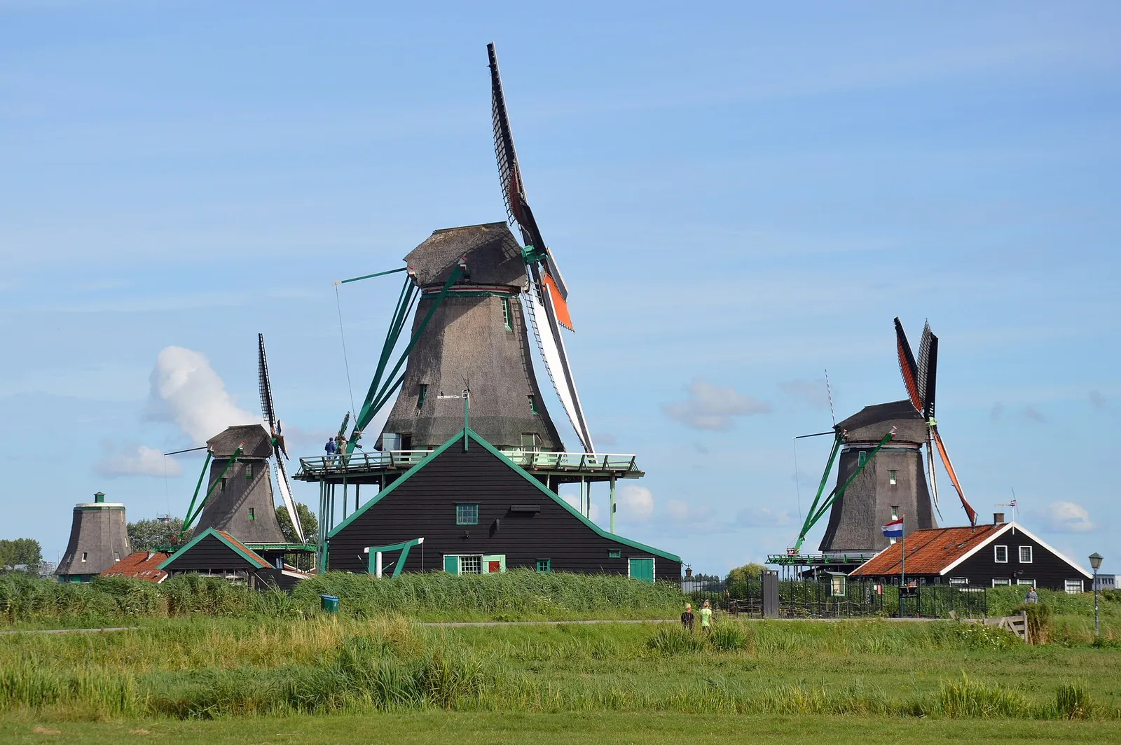 Da Amsterdam a Zaanse Schans in pullman privato