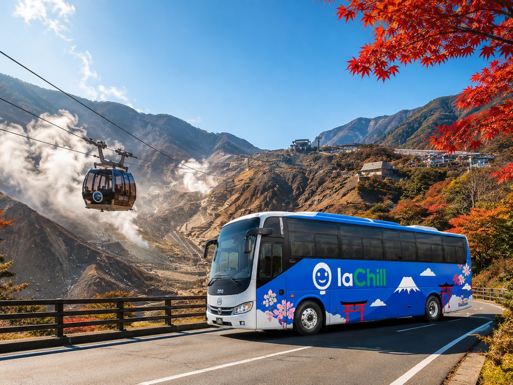 Da Tokyo a Hakone in pullman privato